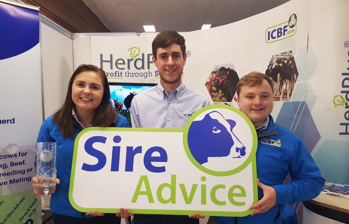 Read more about the article Award Winning Service – HerdPlus Dairy Sire Advice