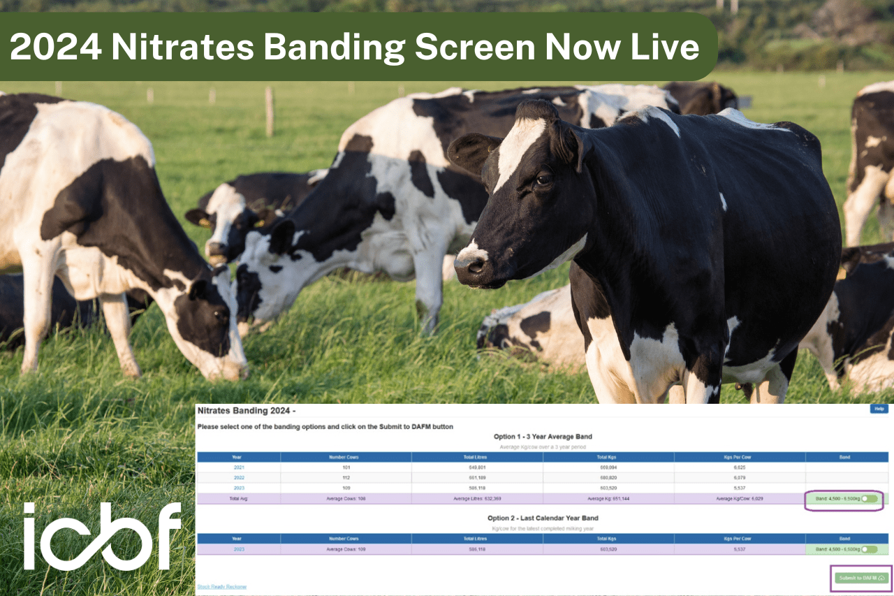 2024 Dairy Banding deadline extended to 15th May ICBF