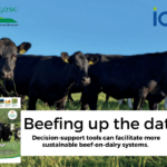 Decision-support tools can facilitate more sustainable beef-on-dairy systems.