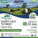 Tipperary Dairy Beef Demonstration Farm Open Day