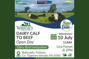 Read more about the article Tipperary Dairy Beef Demonstration Farm Open Day