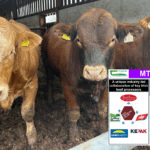 BEEF2024 – Genetic Improvement: MTI’s commitment to sustainability from farm to factory gate