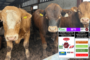Read more about the article BEEF2024 – Genetic Improvement: MTI’s commitment to sustainability from farm to factory gate