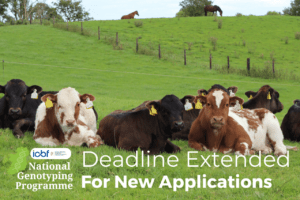 Read more about the article NGP: Application Deadline Extended to 27th August