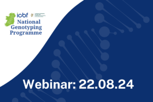 Read more about the article NGP Webinar: All you need to know about why you should apply for NGP in 2024!