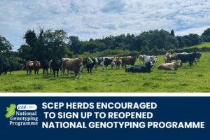 Read more about the article SCEP herds encouraged to sign up to the National Genotyping Programme