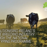 Revolutionising Ireland’s Cattle Breeding Industry through the National Genotyping Programme