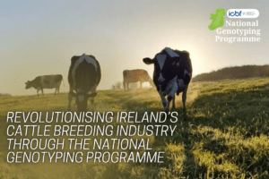 Read more about the article Revolutionising Ireland’s Cattle Breeding Industry through the National Genotyping Programme