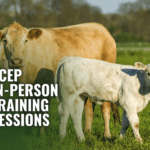 SCEP In-Person Training Sessions