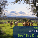 Suckler Beef Gene Ireland Panel Launch – Autumn 2024