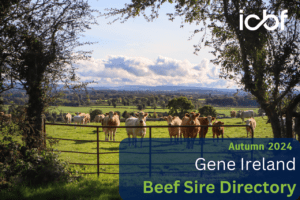 Suckler Beef Gene Ireland Panel Launch – Autumn 2024