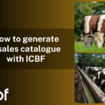 How to generate a sales catalogue with ICBF