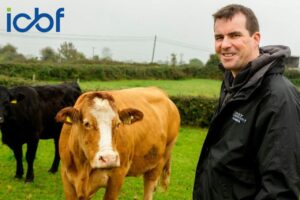 Beef Gene Ireland Breeder Profile – Trevor Boland