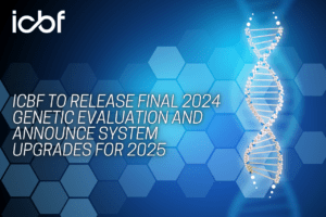 ICBF to Release Final 2024 Genetic Evaluation and Announce System Upgrades for 2025