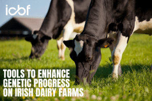 Tools to Enhance Genetic Progress on Irish Farms