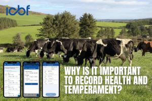 Read more about the article Why is it important to record health and temperament?