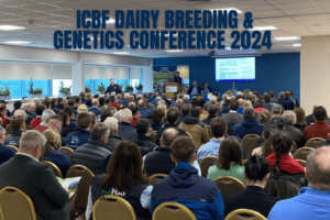 Read more about the article Watch: ICBF Dairy Breeding & Genetics Conference