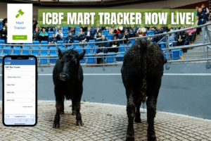 The ICBF Mart Tracker is now live!